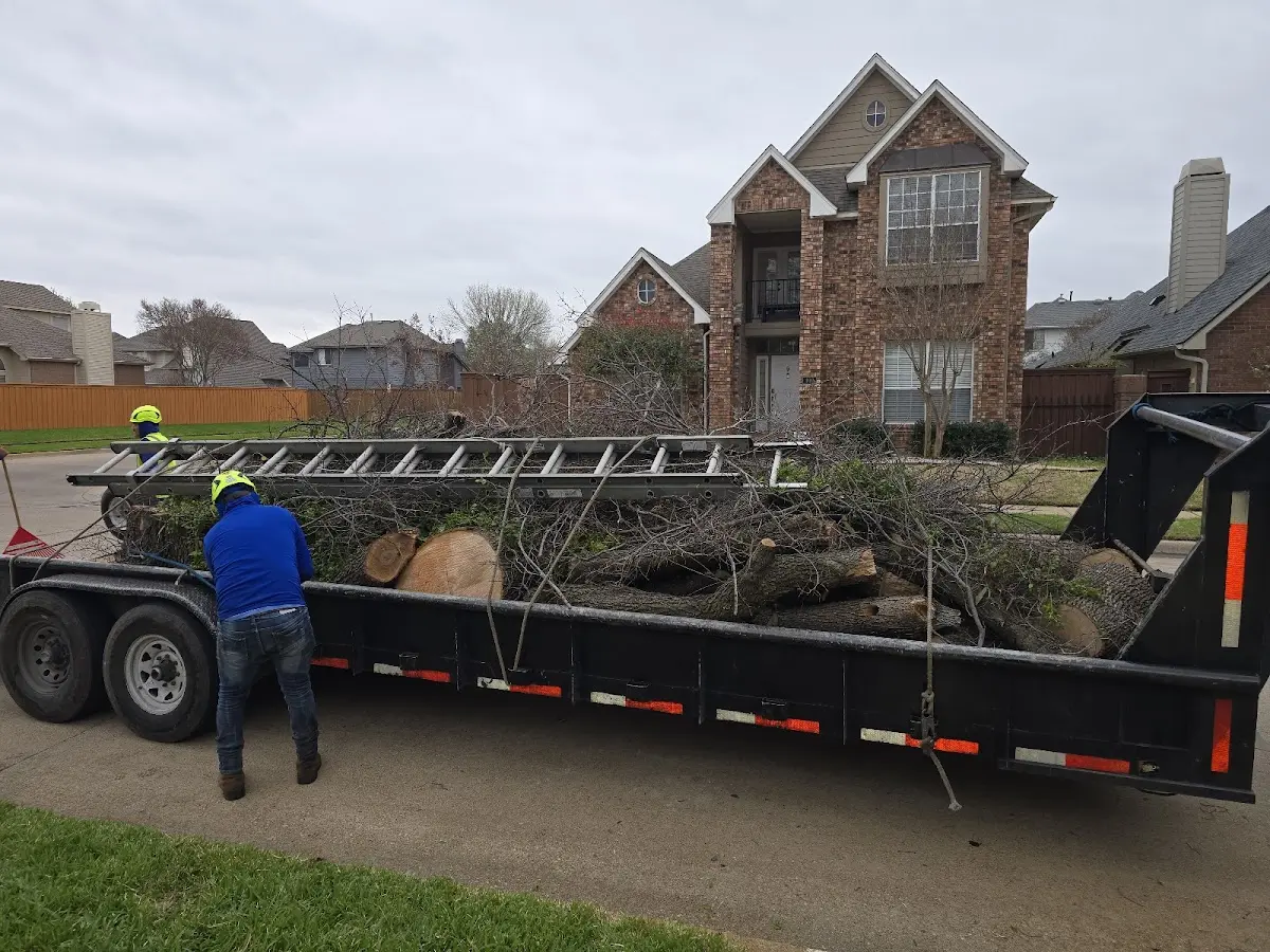 Expert Tree Fertilization with proper safety equipment in Saint James